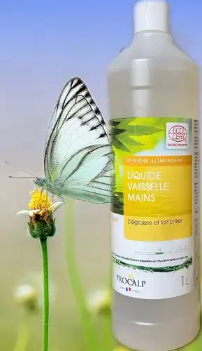 Liquide vaisselle parfum Clémentine, 5L